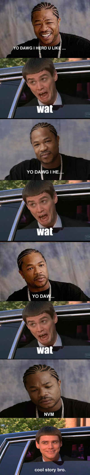 Tags: xzibbit yo dawg jim carey cool story